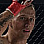 Patryk Fojcik